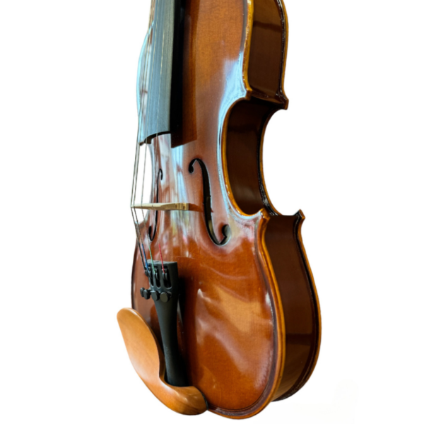 Violin VI 21 Consolat de Mar (1)