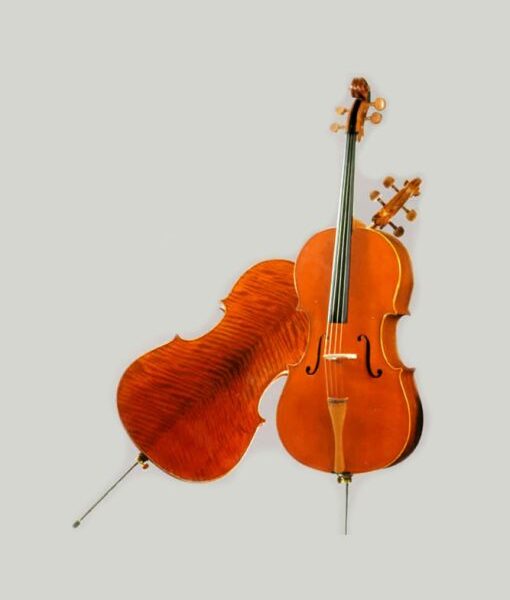 violoncello CE 21B